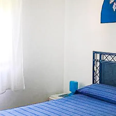 Pet Friendly Apartment