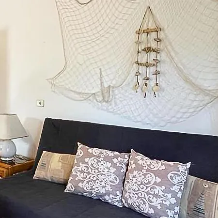 Pet Friendly Apartment